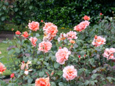 rohdaten_DSCN3534.jpg