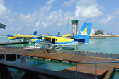 DSC_1199.jpg