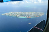 DSC_1220.jpg