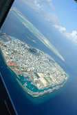 DSC_1225.jpg