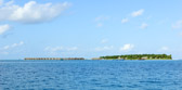 DSC_1260.jpg