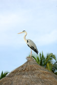 DSC_1349.jpg