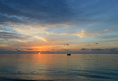 DSC_1370.jpg