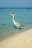 DSC_1497.jpg