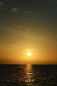 DSC_1813.jpg