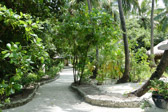 DSC_1934.jpg