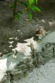 DSC_1937.jpg