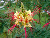 DSCN2269.jpg
