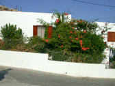 DSCN2275.jpg