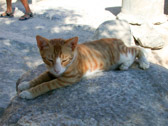 DSCN2304.jpg
