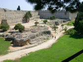 DSCN2503.jpg