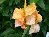 DSCN0154.jpg