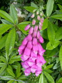DSCN0168.jpg