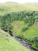 DSCN0294.jpg