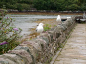 DSCN0314.jpg