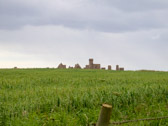DSCN0411.jpg