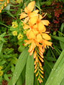 DSCN0432.jpg
