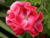 DSCN0436.jpg